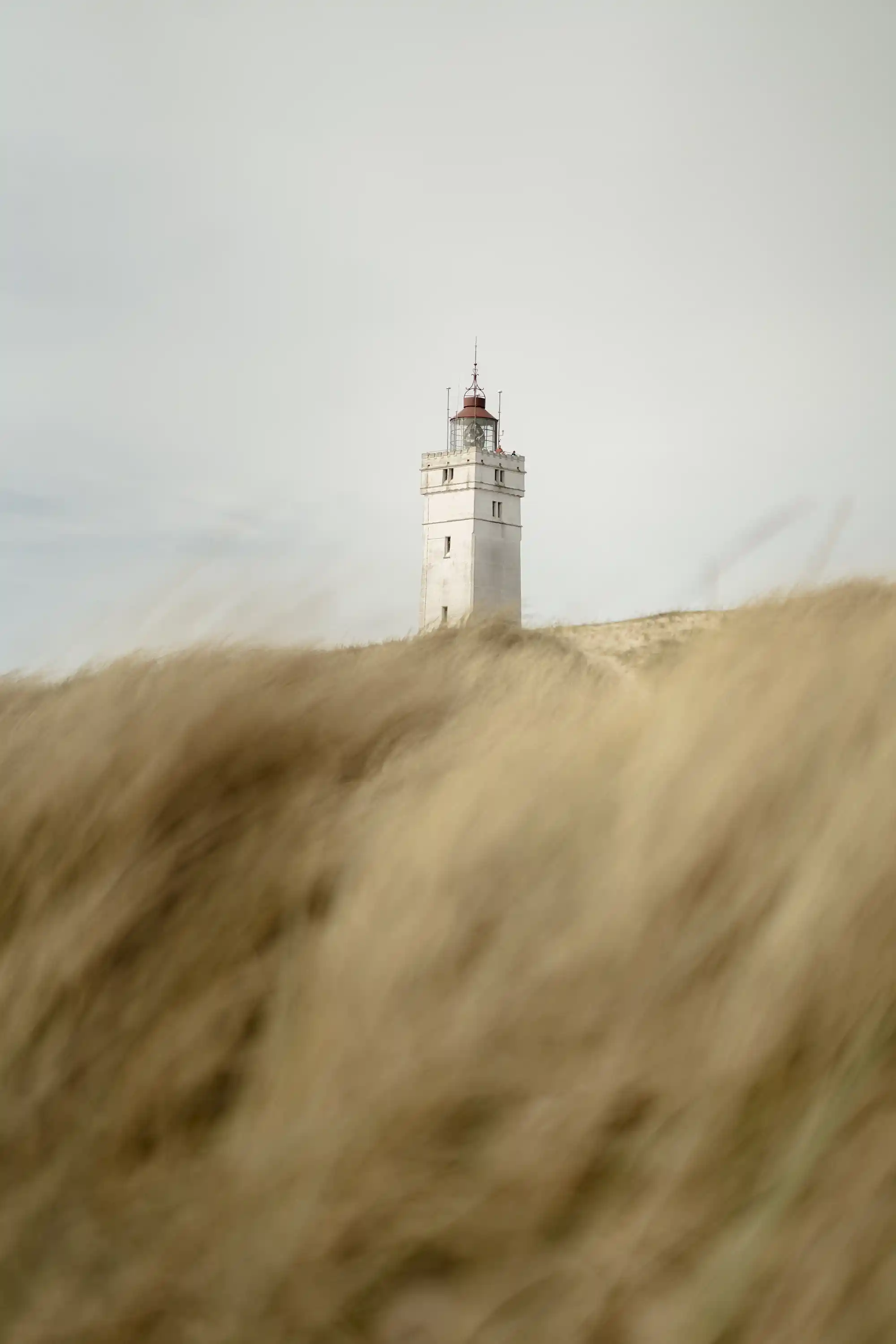 klithjem_badehotel_blaavandshuk-fyr_klitter.webp