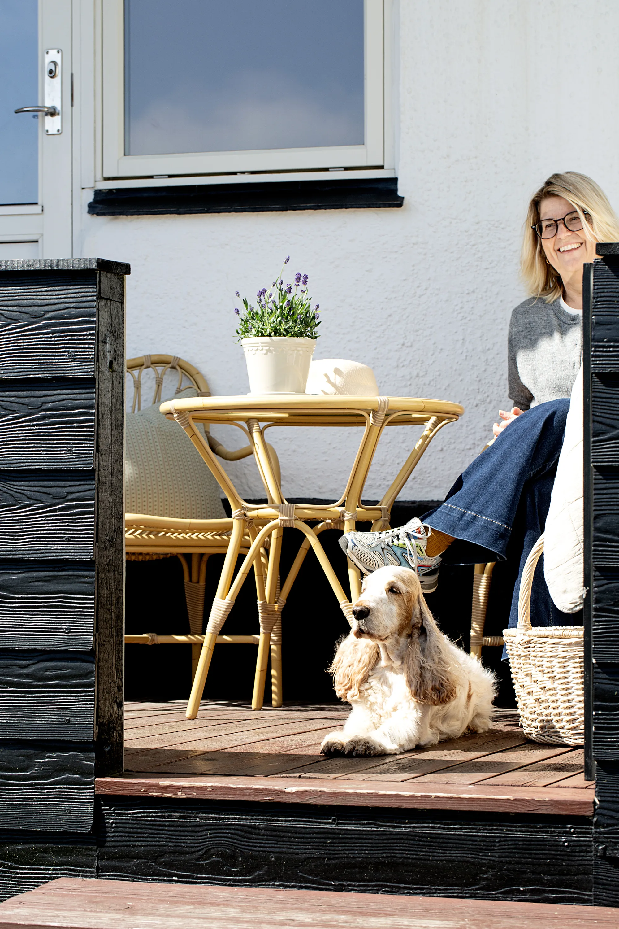 Klithjem_Badehotel_ferie-med-hund.webp