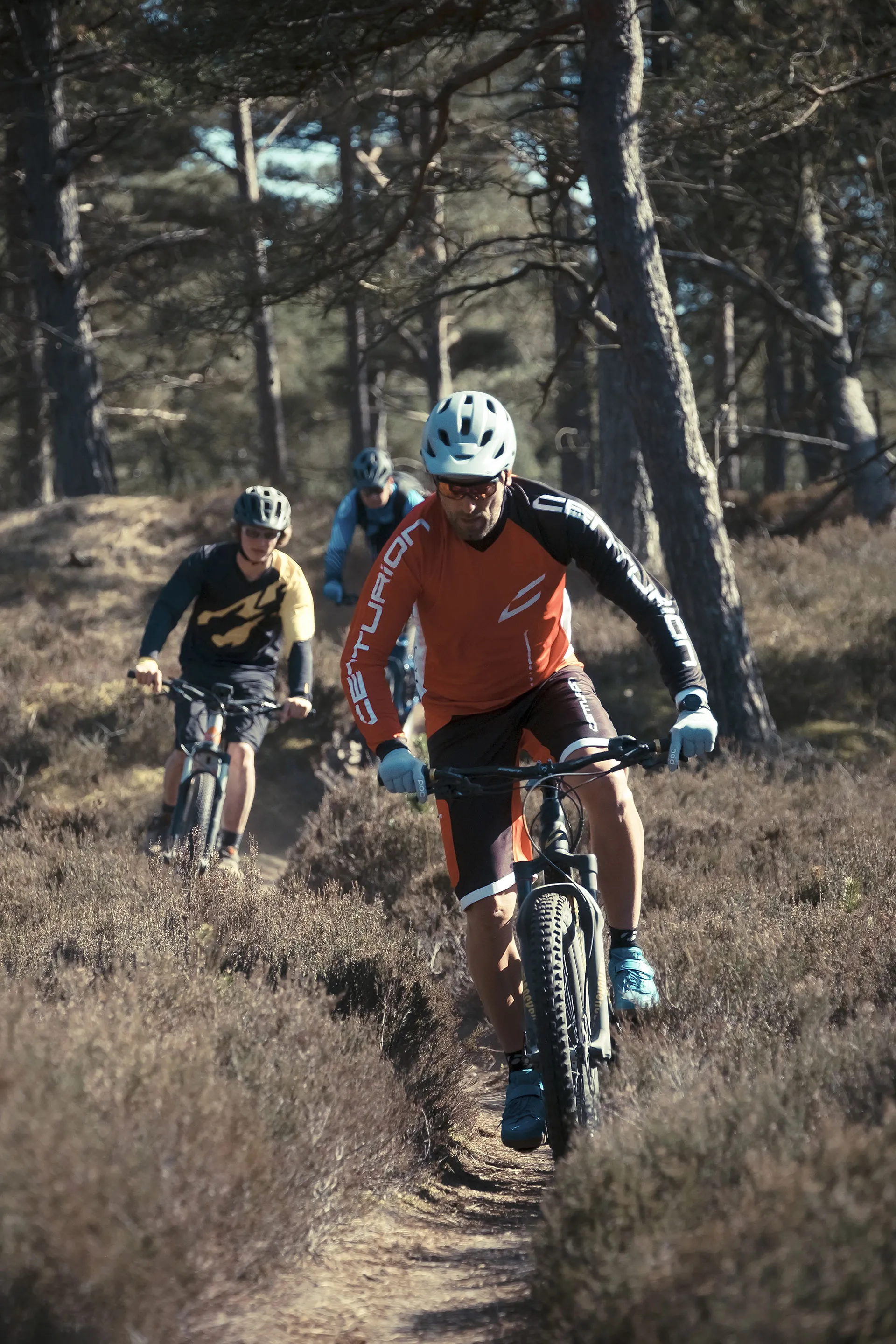 klithjem_badehotel_vejers_strand_natur_skov_mountainbike_gruppe.webp