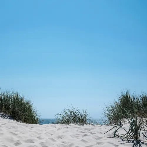 Klithjem_Badehotel_Vejers-Strand_Klitter.webp